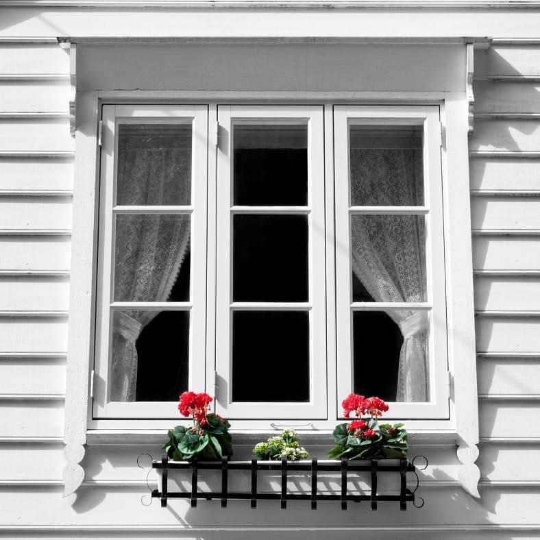 White replacement window with flower box adding charm to a home in Tigard, OR.
